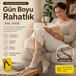 Kadın 40 Denye 12'li İnce Anne Çorabı Dizaltı Topuksuz Esnek Günlük Kullanım Çorabı Ten Siyah Bronz Vizon