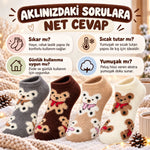 Kadın Ayıcık Desenli Yumoş Patik Çorap 4'lü Set Peluş Yumuşak Sıcak Parfümlü Kışlık Rahat Çorap Seti