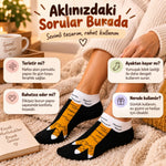 Kadın Tavuk Ayağı 6'lı Desenli Patik Çorap Dikişsiz Pamuklu Eğlenceli Sneaker Günlük Çorap Komik Set