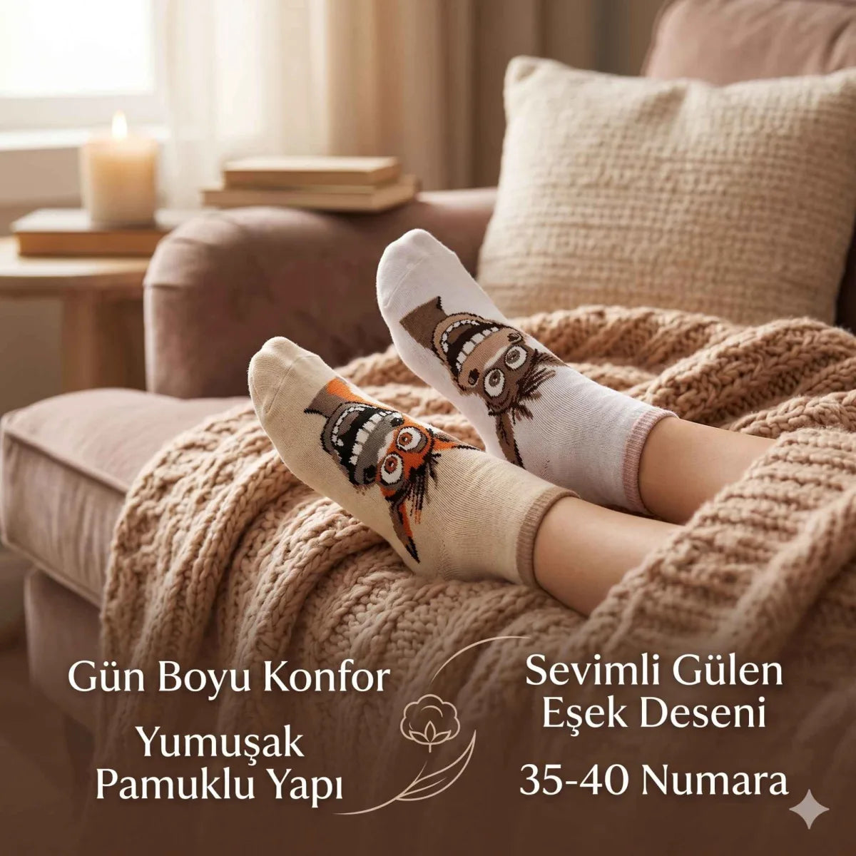 Görsel alt metni