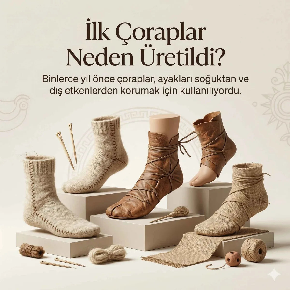 Erkek Patik Çorap 3’lü Set – Renkli Burun Topuk Detaylı Günlük Kısa Çorap