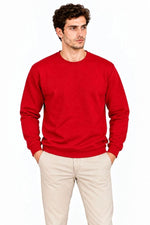 Erkek Bisiklet Yaka İçi Şardonlu 2 İplik Düz Uzun Kollu Regular Fit Sweatshirt - Kırmızı