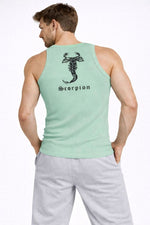 Erkek Spor Slimfit Fitilli Kaşkorse Arka Basklı Atlet 2'li Set Siyah-Mint Yeşili