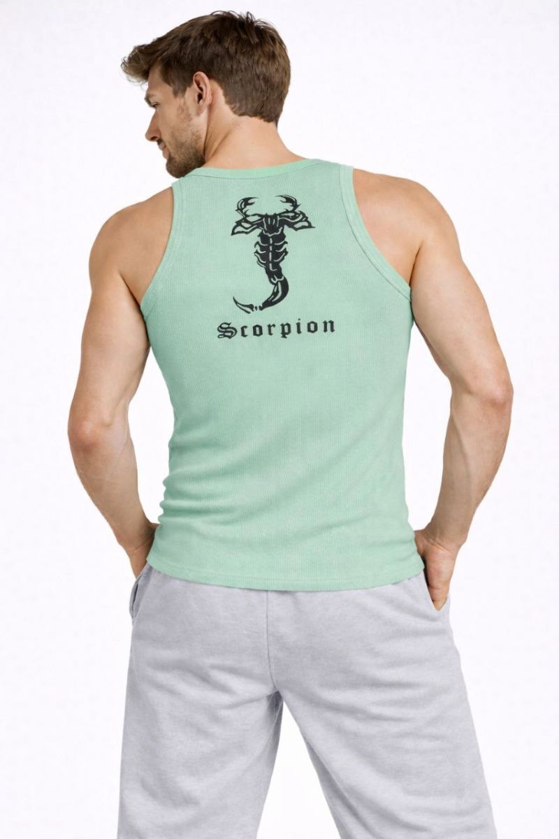 Erkek Spor Slimfit Fitilli Kaşkorse Arka Basklı Atlet 2'li Set Siyah-Mint Yeşili